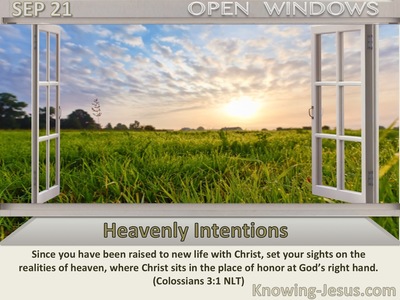 Heavenly Intentions
